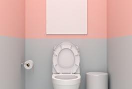 Conseils de décoration des toilettes