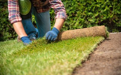 Tarif d’un paysagiste pour l’entretien d’un jardin