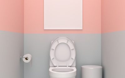 Comment décorer ses toilettes ?