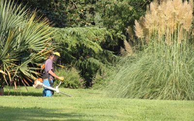 Prix d’un débroussaillage : par moi ou par un pro ?