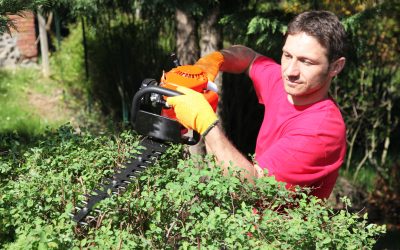 Prix d’entretien d’un jardin : par moi ou par un pro ?