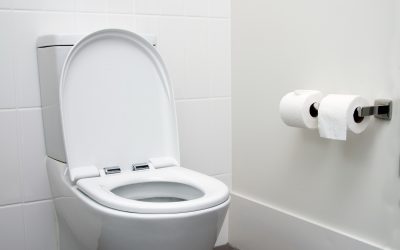 Prix de pose de WC : par moi ou par un pro ?